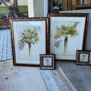 4 Palm Tree Pictures NO SHIPPING